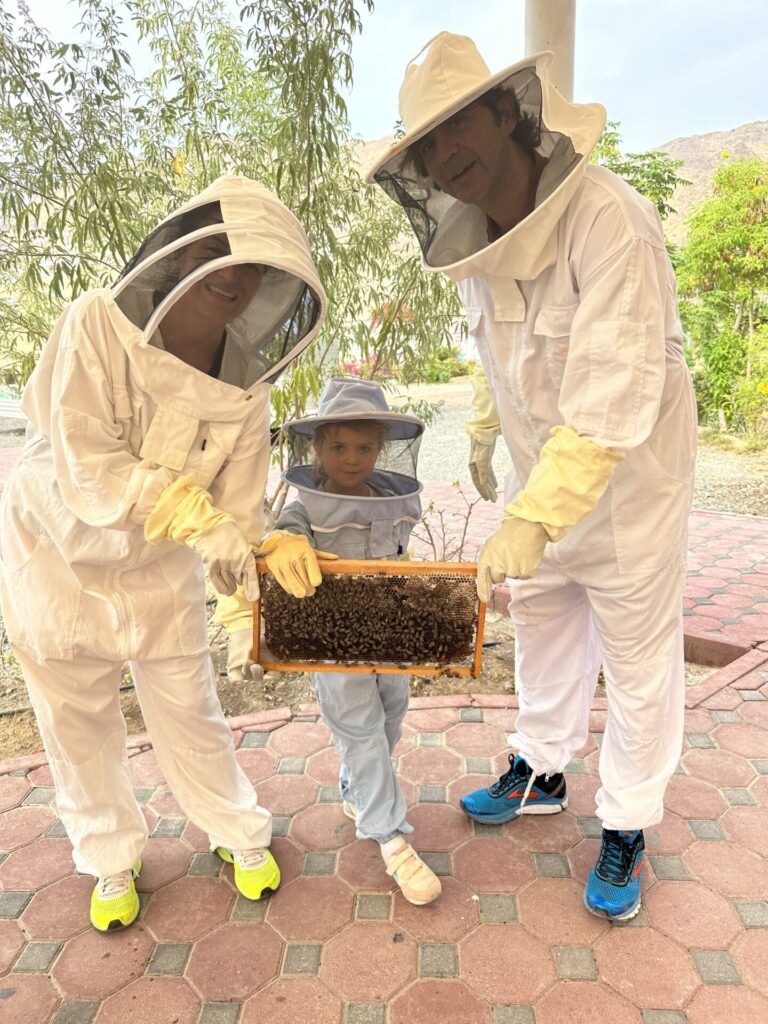 Bei der Bienenfarm in Hatta hat man die Möglichkeit in einer Vollmontur zu den Bienen zu gehen. Man darf sogar die Bienenwaben zu halten