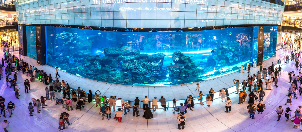 L'aquarium du Dubai Mall avec de nombreux poissons et autres attractions