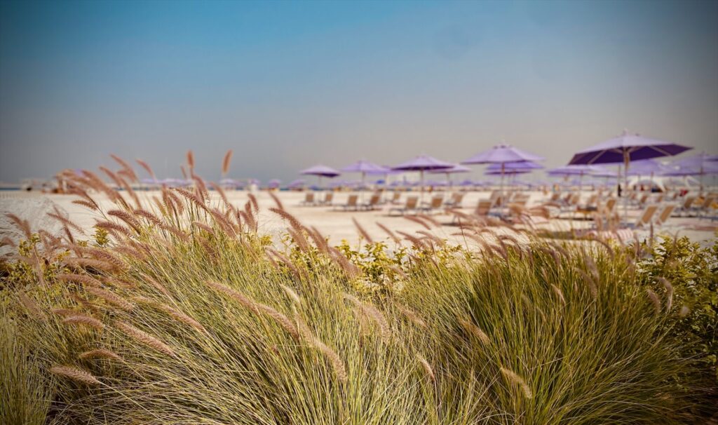 Beach bar at Centara Dubai with a view of the sea

