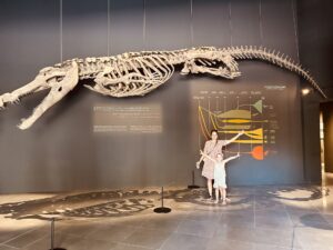 Squelette de dinosaure au Crocodile Park de Dubaï