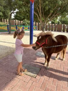 Au Kids Village du Safari Zoo de Dubaï, on peut caresser des poneys.