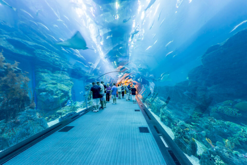 October 31 2017 Dubai Uae Altaltis Aquarium And Underwater